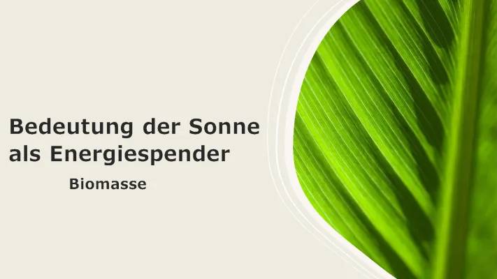 Die Sonne und Biomasse einfach erklärt: Energie und Kreisläufe verstehen