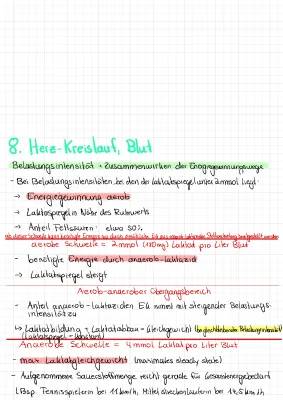 Was ist die Anaerobe und Aerobe Schwelle? Herzfrequenz, Laktat und mehr erklärt