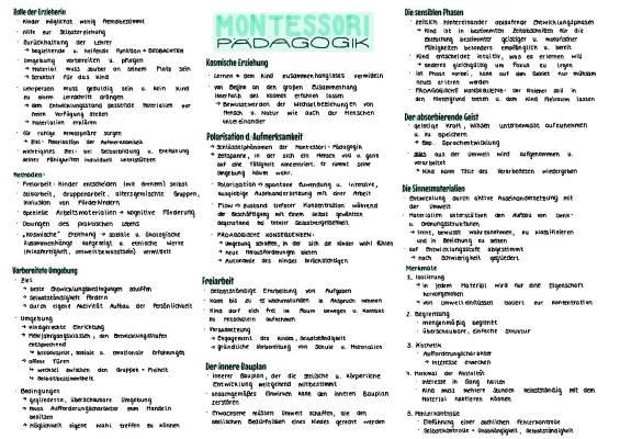 Montessori-Pädagogik einfach erklärt: 10 Grundsätze, sensible Phasen & vorbereitete Umgebung