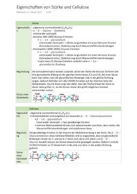 Was sind Stärke und Cellulose? Einfache Infos und Unterschiede