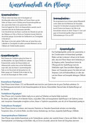 Wasseraufnahme und Wassertransport in Pflanzen einfach erklärt - Xylem und Phloem, Osmose, Diffusion