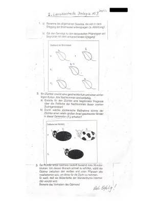 Mendelsche Regeln einfach erklärt: Arbeitsblätter mit Lösungen und Genetik Übungen für Klasse 9 & 10