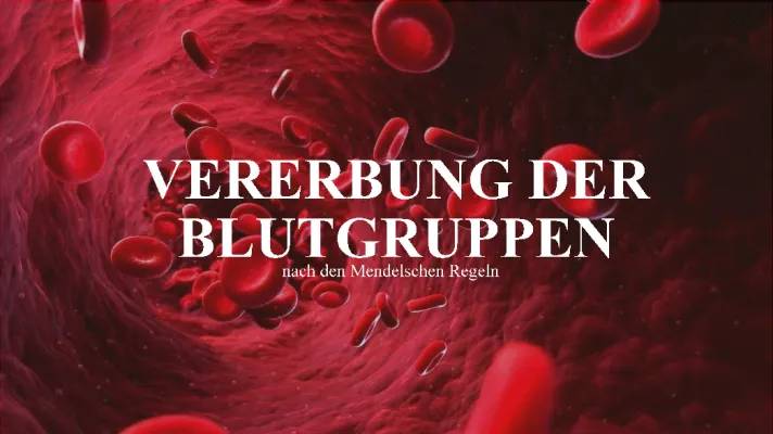 Vererbung der Blutgruppen 