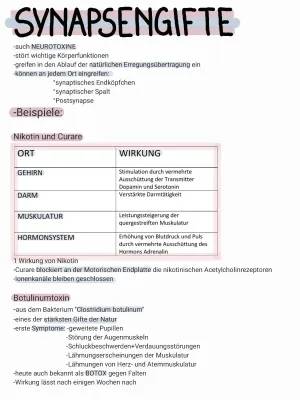 Was ist Botulinumtoxin und wie wirkt es? Über Nebenwirkungen und Unterschiede bei Rezeptoren