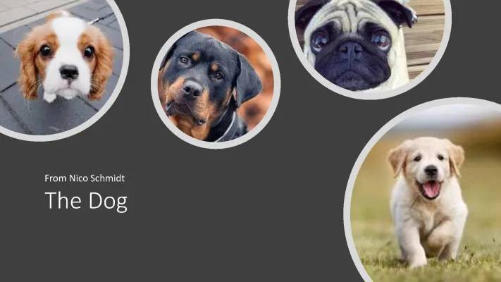 Awesome Dogs PowerPoint Presentation for Kids