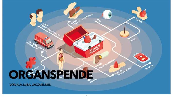 Organspende neues Gesetz 2024: Alles über Transplantationsgesetz und Widerspruchsregister