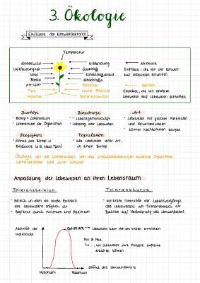 Einfach erklärt: Ökologie, Wechselbeziehungen und Abiotische Faktoren