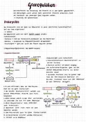 Genregulation bei Prokaryoten und Eukaryoten: Substratinduktion, Endproduktrepression und Operon-Modell einfach erklärt