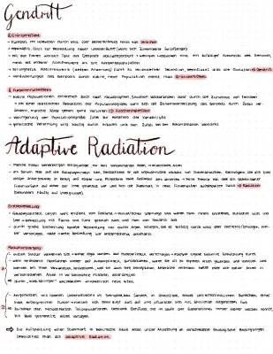 Gendrift einfach erklärt: Gründereffekt, Flaschenhalseffekt und Adaptive Radiation Beispiele