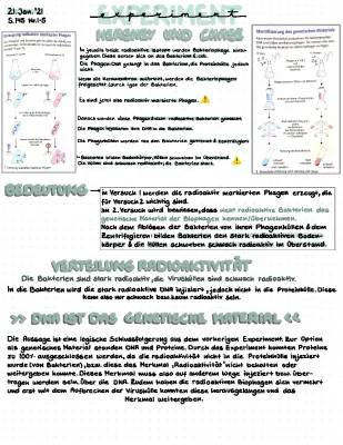 Das Hershey-Chase-Experiment einfach erklärt: Entdecke das Geheimnis der Gene!