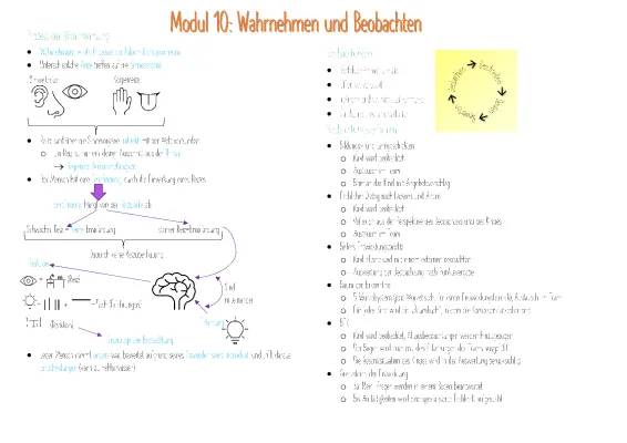 Wahrnehmung einfach erklärt: Definition, Beispiele und Phasen