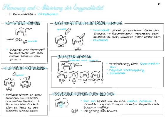 Einfach erklärt: Enzymhemmung – Kompetitive, nicht kompetitive und allosterische Hemmung, irreversibel und reversibel