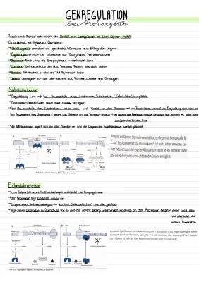 Genregulation einfach erklärt: Lac- und Trp-Operon für Kinder