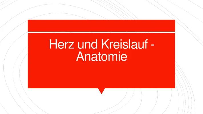 Anatomie des Herzens einfach erklärt: Ein Blick auf das Herz-Kreislauf-System für Schüler