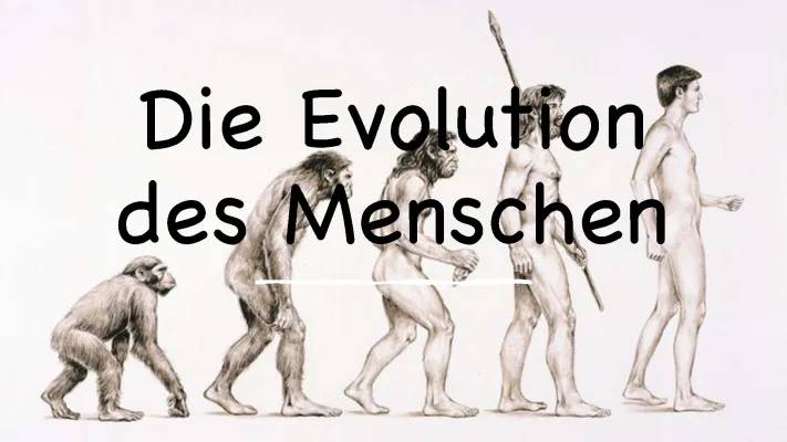 Entwicklung des Menschen: Vom Homo Sapiens zum Zukunftsmenschen