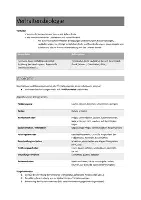 Biologie Abituraufgaben mit Lösungen in Hessen für 2024 – Starkes Lernen mit PDF und Beispielen