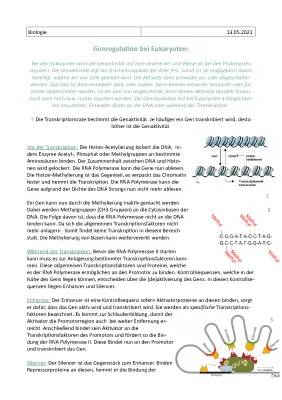 Genregulation bei Eukaryoten: Arbeitsblatt, Aufgaben & Beispiele