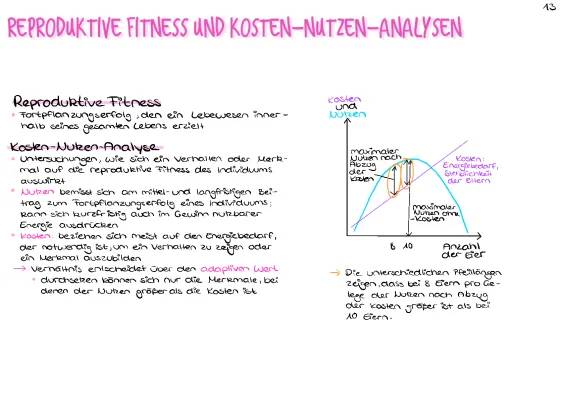 Reproduktive Fitness einfach erklärt: Kosten-Nutzen-Analyse und Adaptation in der Biologie