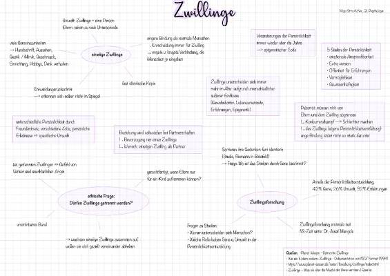 Zwillingsstudien: Psychologie, Unterschiede und mehr