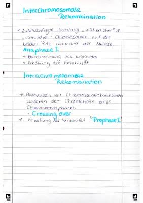 Was ist Rekombination? Einfache Erklärungen für Kids zu intrachromosomaler und interchromosomaler Rekombination