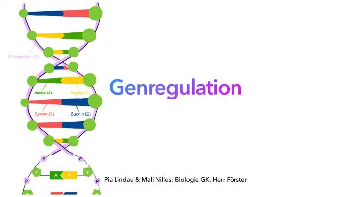 Einfach erklärt: Genregulation und das Operon-Modell für Kids