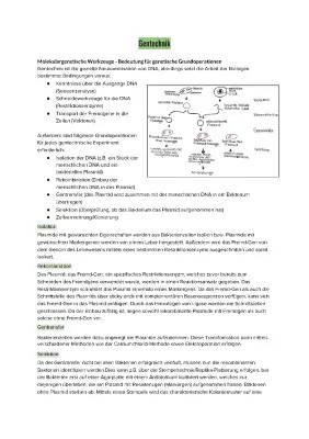 Verfahren der Gentechnik: Einfache Erklärungen und Arbeitsblatt zu Molekulargenetischen Werkzeugen