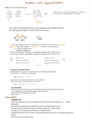 Fette Einfach Erklärt: Aufbau, Eigenschaften und Funktionen