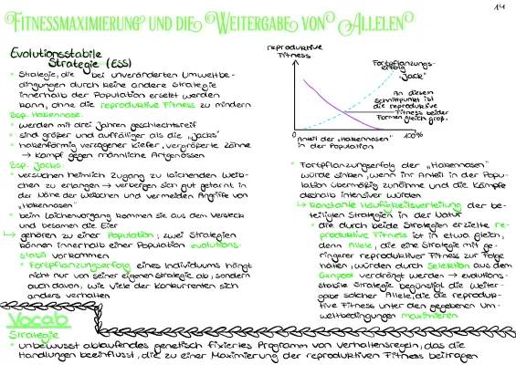 Fitnessmaximierung und Evolutionär stabile Strategie in der Biologie