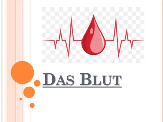 Blut: Aufgaben und Bestandteile einfach erklärt