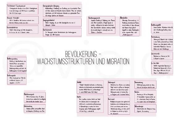 Demografischer Übergang: Was ist das? Die 5 und 7 Phasen erklärt für Kinder