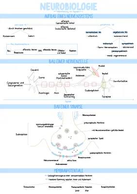 Neurobiologie