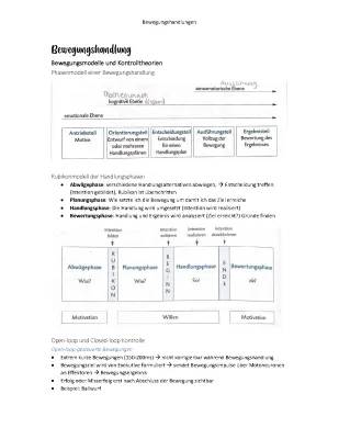 Bewegungshandlung Erklärung und Bewegungsanalyse Beispiele - Sport LK & Physiotherapie