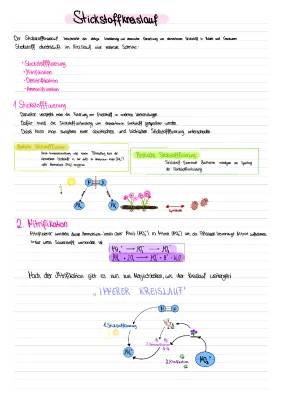 Stickstoffkreislauf: Einfach Erklärt für Kinder – PDF & Arbeitsblatt