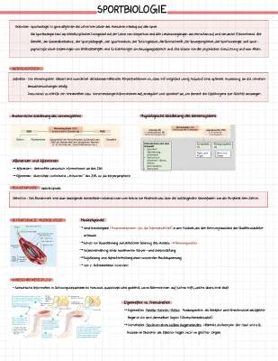 Muskelaufbau und Herz: Sportbiologie leicht erklärt