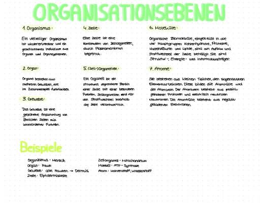 Organisationsebenen in der Biologie: Arbeitsblatt und Beispiele für Mensch und Pantoffeltierchen