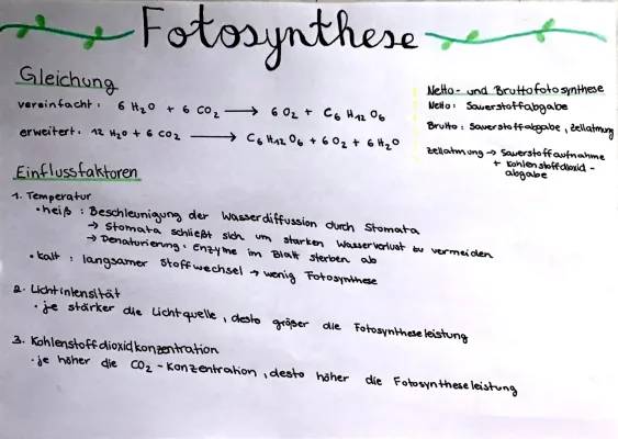 Entdecke die Fotosynthese: Licht, CO2 und mehr einfach erklärt!