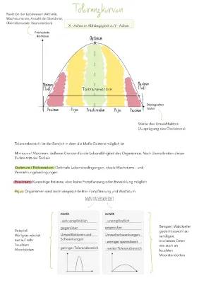 Abiotische Faktoren und Toleranzkurven: Ökologische und Physiologische Potenz einfach erklärt