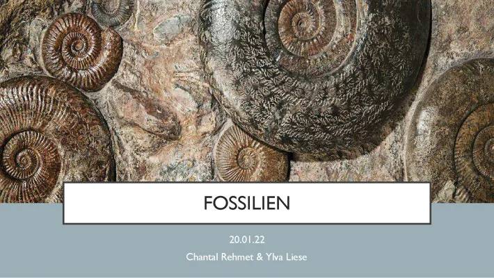 Fossilien: Wie sie entstehen und warum sie wichtig für die Evolution sind