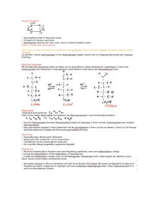 Alles über Glucose und Stärkenachweis - Einfach erklärt