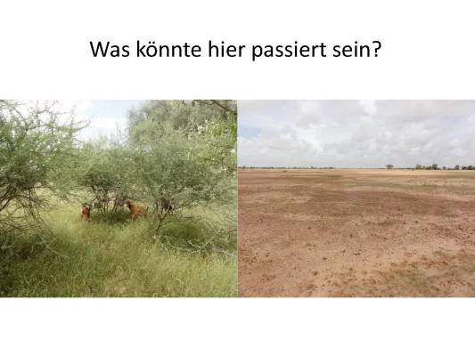 Was ist Desertifikation in der Sahelzone? Ursachen, Folgen und Lösungen