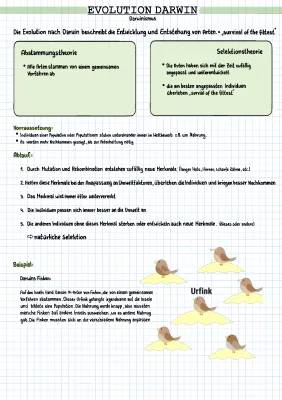 Charles Darwin und Seine Evolutionstheorie Einfach Erklärt für Kinder