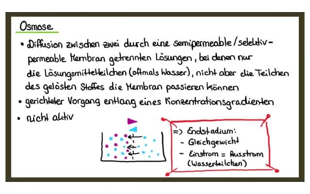 Osmose und Semipermeable Membran einfach für Kinder erklärt