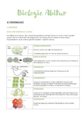 BIOLOGIE ABITUR - THEMA 1 - SPORTBIOLOGIE  