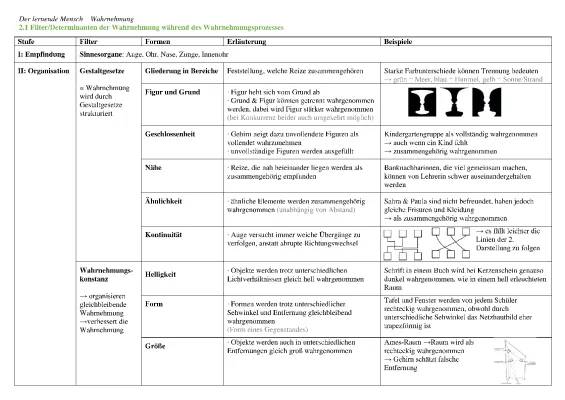 Wahrnehmung Definition und Beispiele für Kinder: So verstehst du Wahrnehmungsfilter, Gestaltgesetze und Fehler