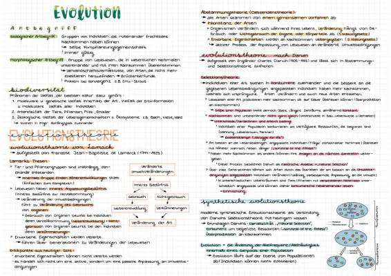 Lamarck Evolutionstheorie einfach erklärt: Der Vergleich mit Darwin und mehr!