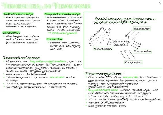 Thermoregulation einfach erklärt: Konduktion, Konvektion und mehr