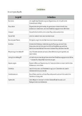 Evolution Biologie Zusammenfassung PDF – Einfach erklärt für Kinder