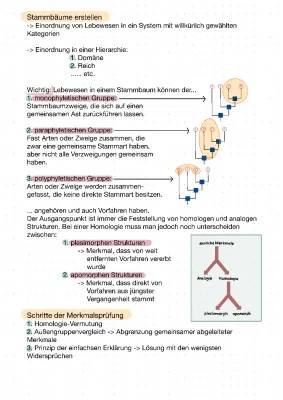 Einfach Stammbäume erstellen: Übungen und Vorlagen