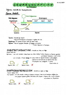 Genregulation bei Prokaryoten und Eukaryoten: Substratinduktion & Endproduktrepression