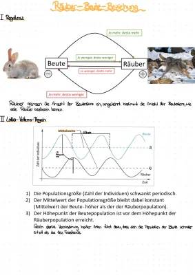 Räuber-Beute-Beziehung: Definition, Beispiele und Lotka-Volterra-Regeln